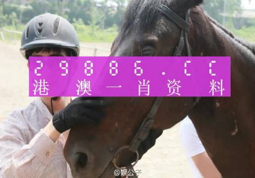 澳门今晚一肖一码，全面解答解释落实_cg246.60.40