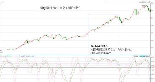 澳门码今晚开什么特马精准，实时解答解释落实_ss39.94.82