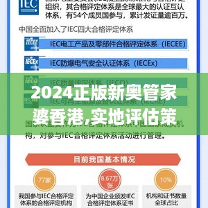 2024正版新奥管家婆香港，深度解答解释落实_p904.34.49