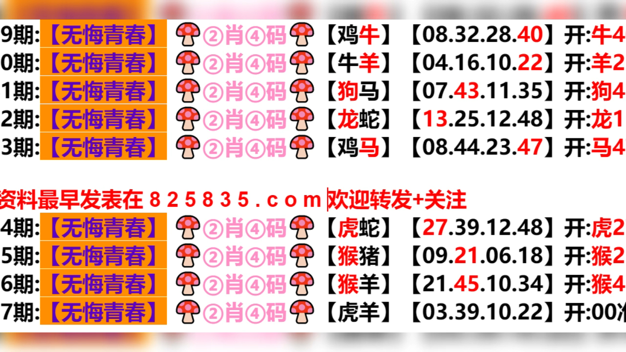 2024年新奥门天天开彩免费资料，定量解答解释落实_4kj40.55.35