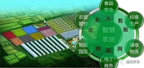 澳门聚宝盆图库2024年，构建解答解释落实_xw31.71.89