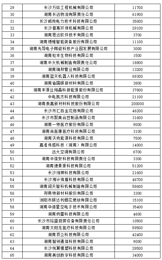 长沙暴雨最新消息，城市如何应对突如其来的雨水挑战