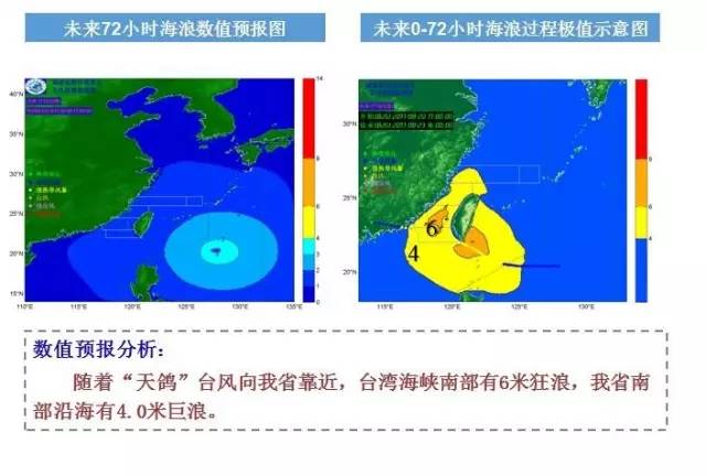 IO号台风最新消息，全面解析与应对建议