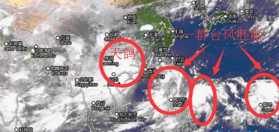 最新台风消息天鸽，一场自然界的挑战与应对之道